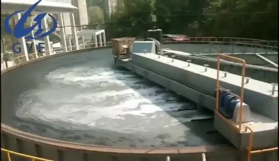 Équipement de traitement de rivière Flottation à air dissous peu profonde pour éliminer les algues